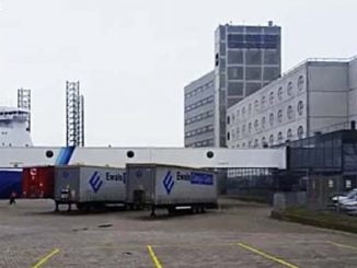 Felison Terminal